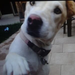 Meet your Posher, Tiffany